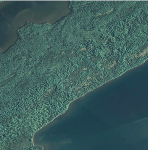 modis image1