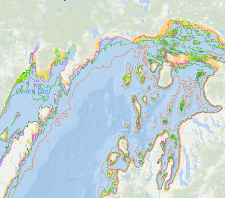 Screenshot of a map of submerged aquatic vegetation classification
