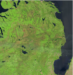 modis image 3