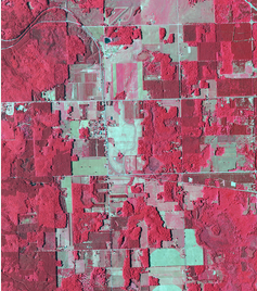 modis image2