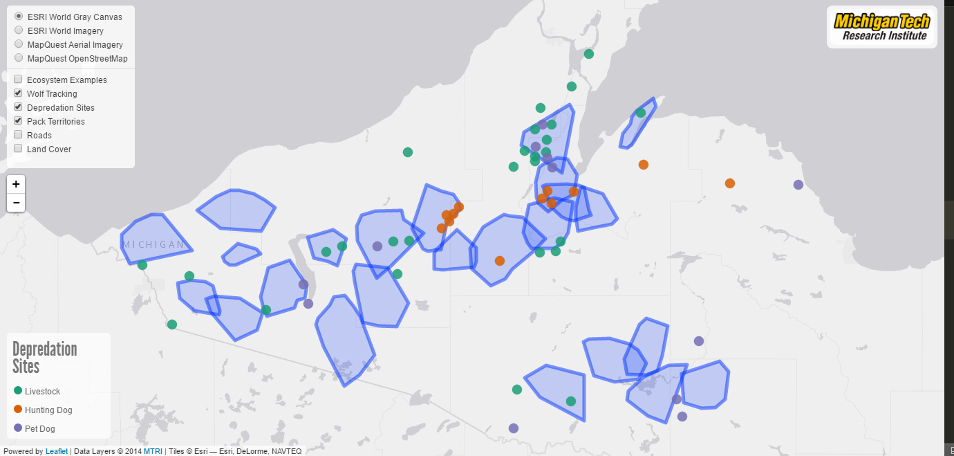 Screenshot of bird migration and wind turbines